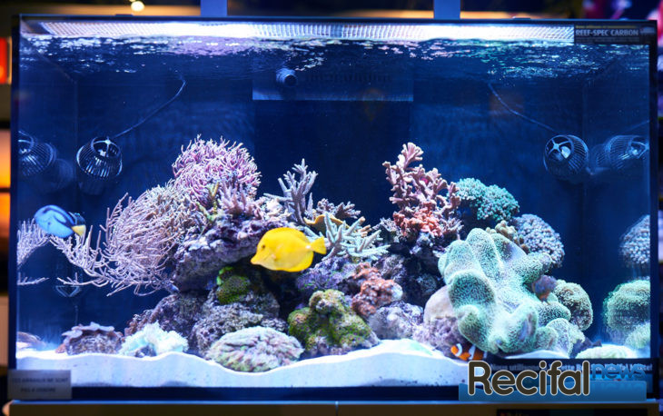 animal expo red sea reefer