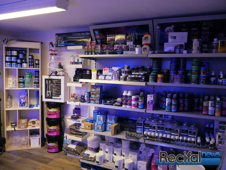 Korallenzucht Karlsruhe