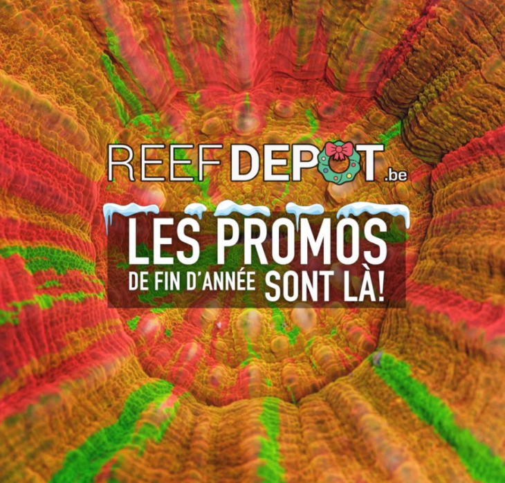reef depot