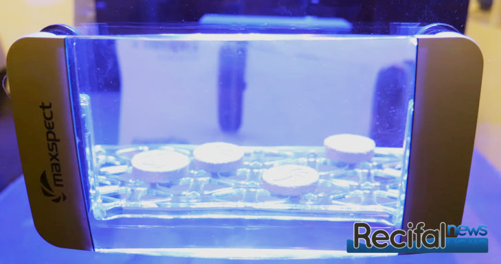 maxspect magnifier aquarioom