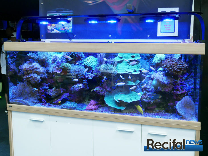 Abyss Aquatic Warehouse