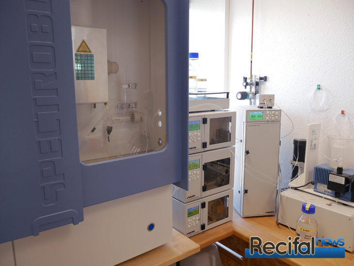 fauna marin laboratoire ICP