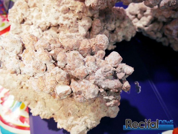 mace 2018 aquaforest roches détail