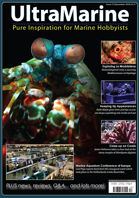 ultra marine magazine 73