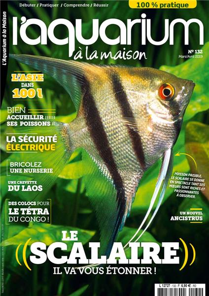 Aquarium à la maison 132