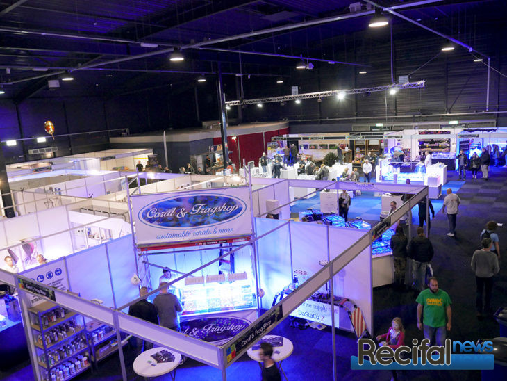 MACE 2018 walk through