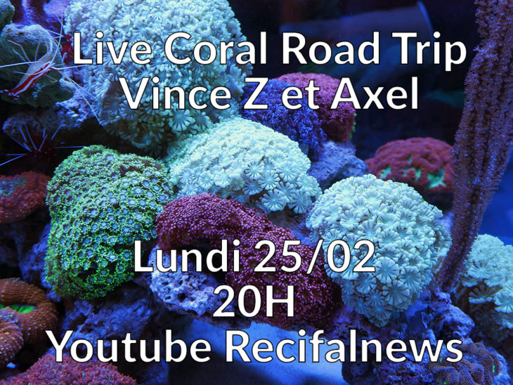 live youtube coral road trip