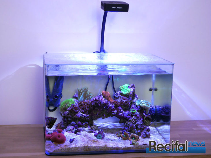 vlog 7 axel nano récifal FAQ