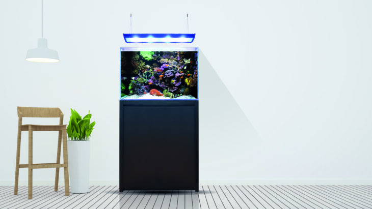 blue-marine-reef-200