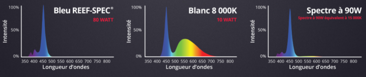 red-sea-reefled-90-spectres