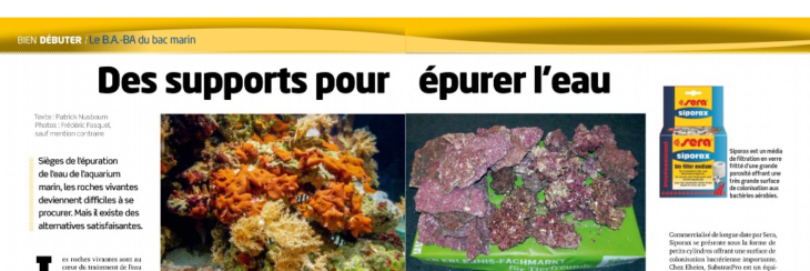 aquarium-a-la-maison-133-ba-ba-du-bac-marin-supports-pour-epurer-eau