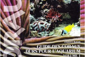 guide-des-coraux-durs-pour-l-aquarium-vol1