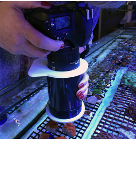 pacific-sun-u-look-adaptor-exemple