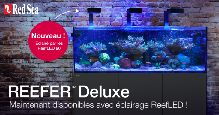 red-sea-reefer-reefled