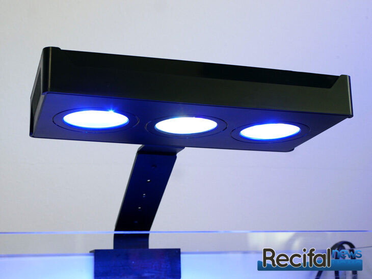 vlog-axel-10-pico-recifal-ADA-45-F-asaqua-no-5-led-pied