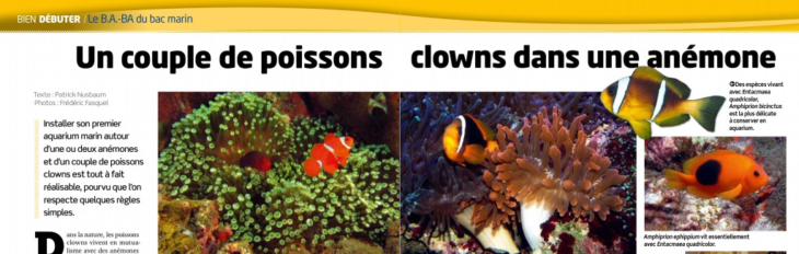 aquarium-a-la-maison-134-ba-ba-bac-marin