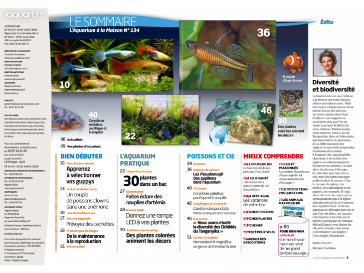 aquarium-a-la-maison-134-sommaire