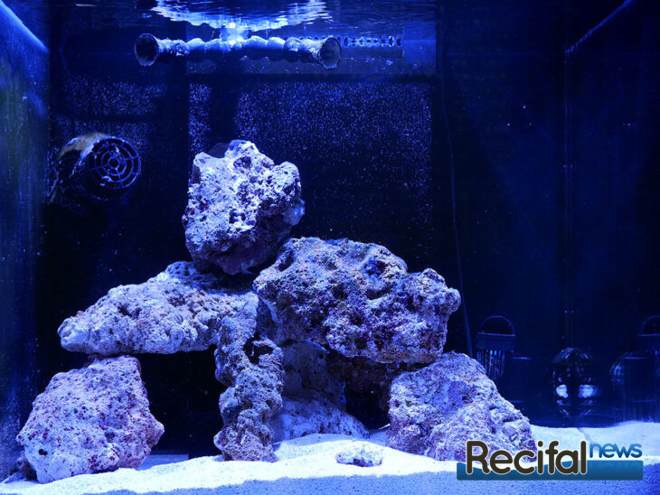 red-sea-reefer-170-demarrage