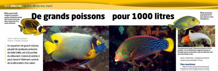 aquarium a la maison 135