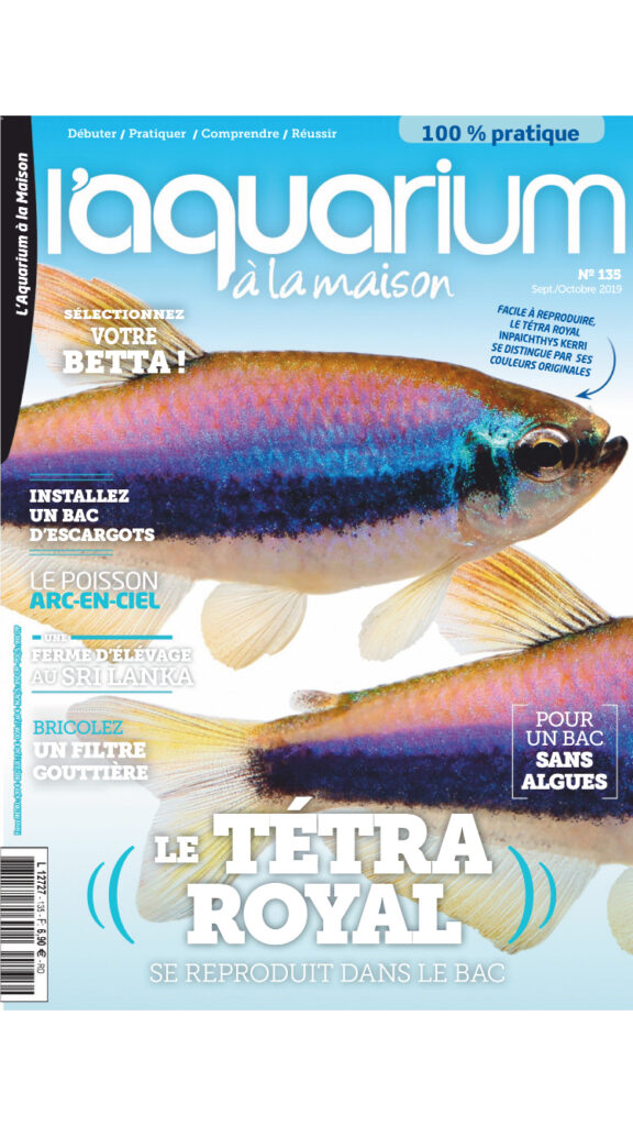 aquarium à la maison 135 couverture