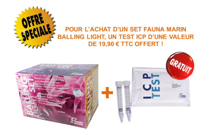 fauna marin balling light system