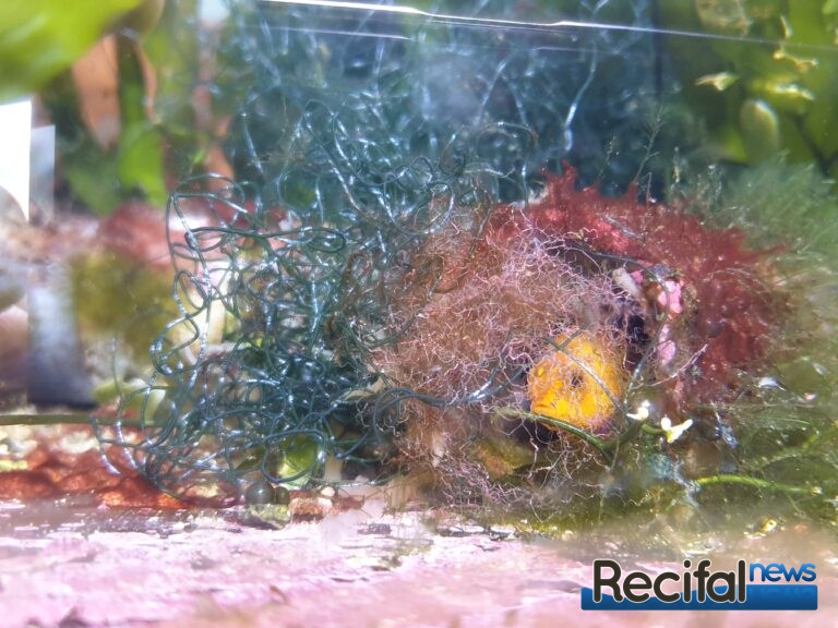 aquariums publics