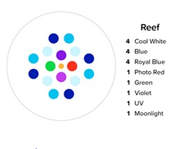 cluster LED 32 HD 64 HD