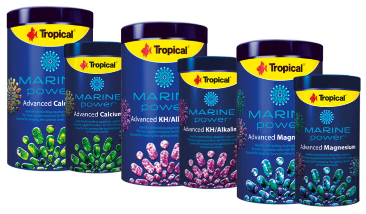 tropical