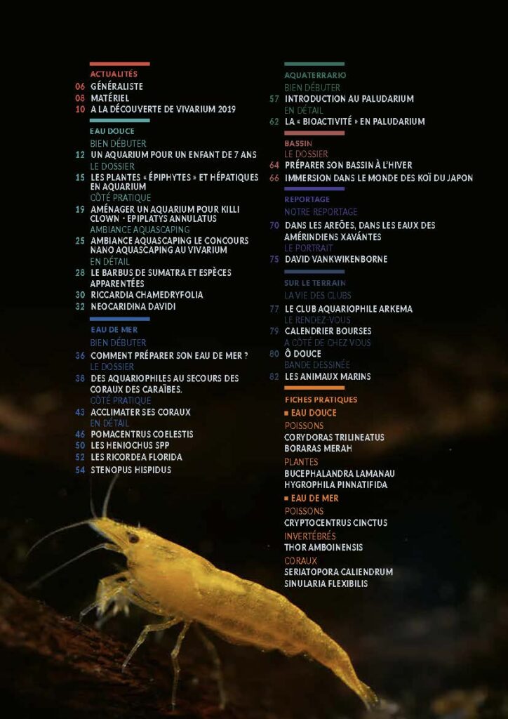 L'Aquarium à la maison