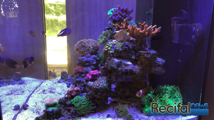 red sea reefer 170 cote