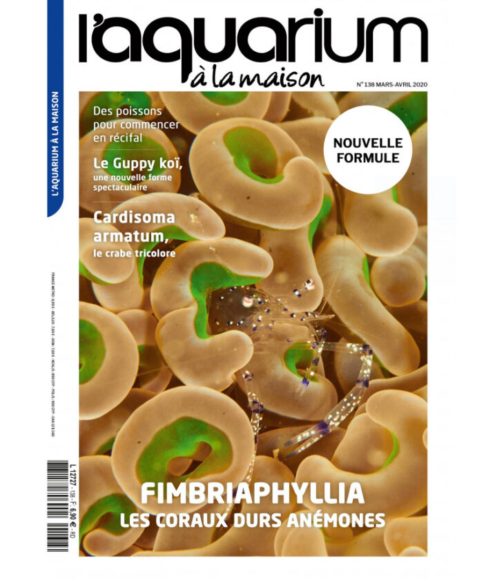 aquarium a la maison