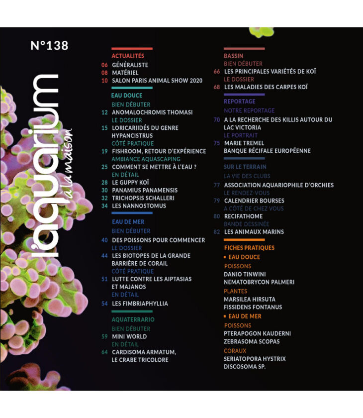 aquarium a la maison