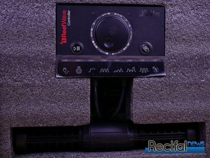 red-sea-reef-wave-callage