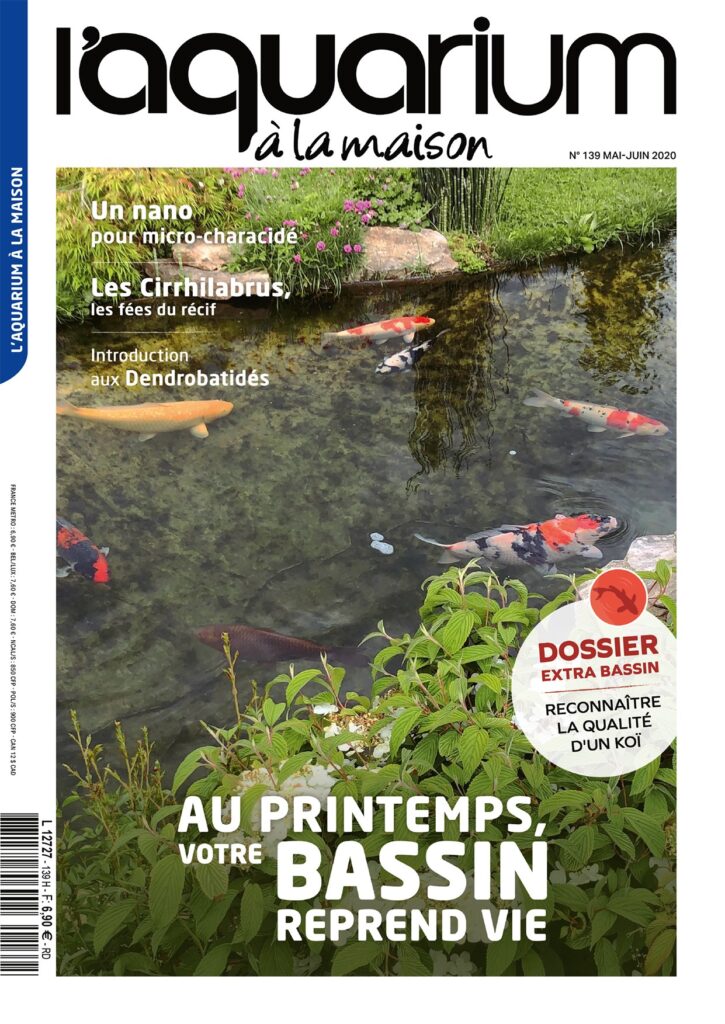 aquarium a la maison 139 couverture