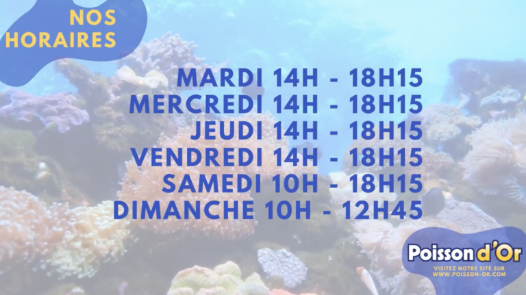 poisson or horaires