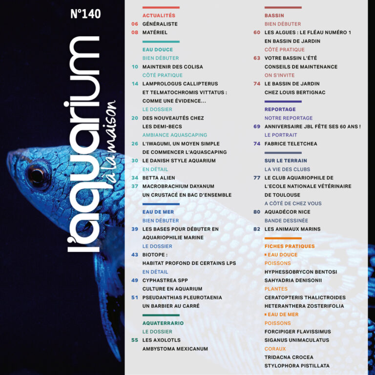 aquarium à la maison 140