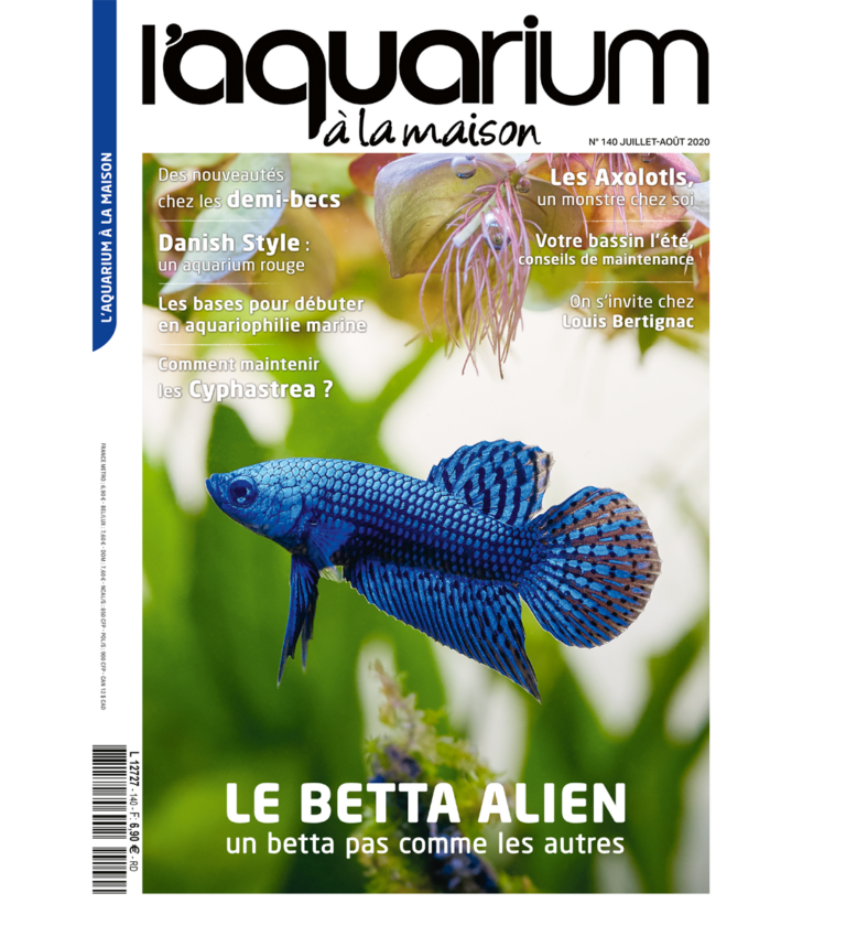 aquarium à la maison 140