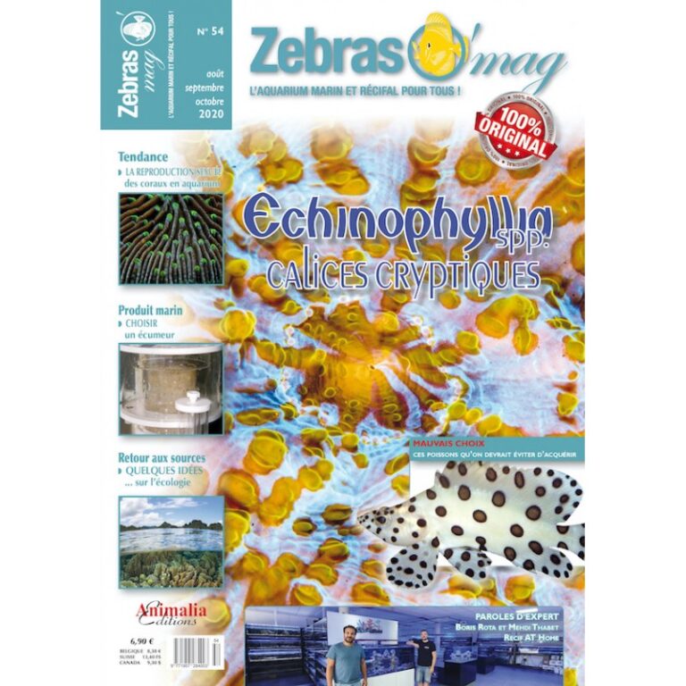 zebras'omag