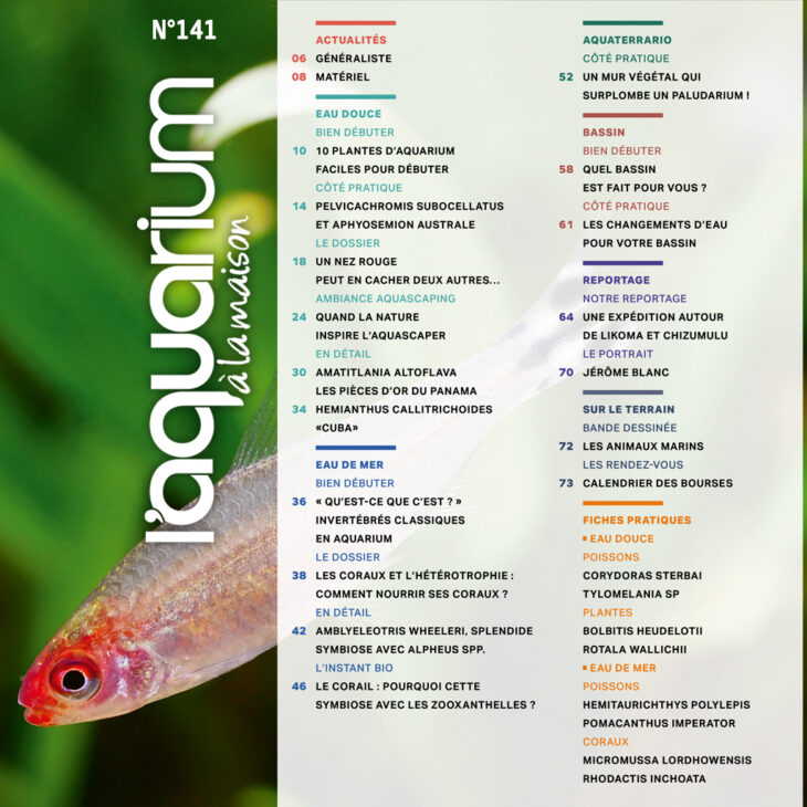 sommaire l'aquarium à la maison N° 141