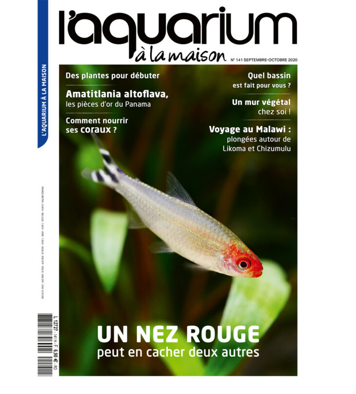 couverture l'aquarium à la maison N° 141