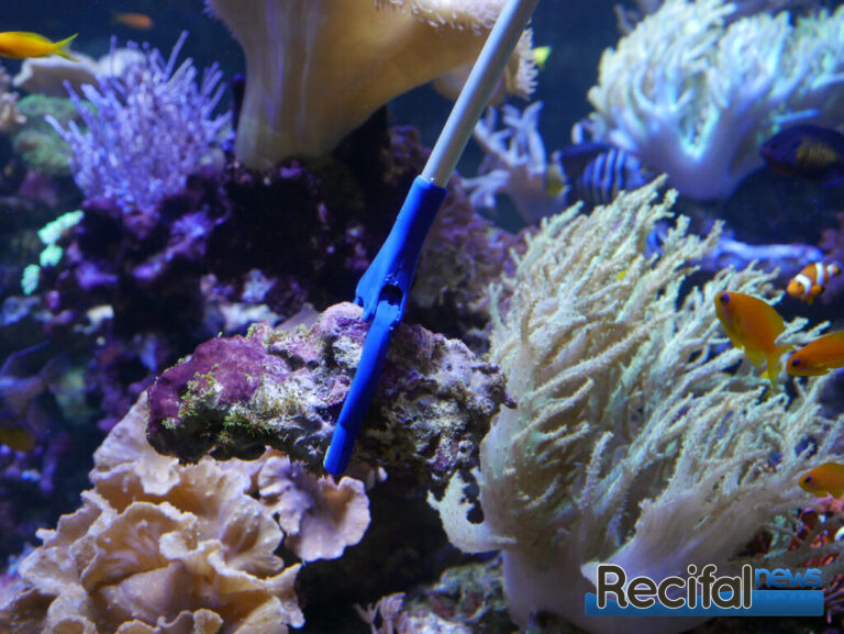 Coral Gripper 60cm (pince aquarium Maxspect) de Maxspect