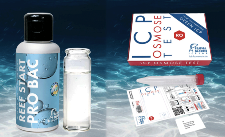 FAUNA MARIN - Bacto Reef Balls - 500ml - Bactéries pour aquarium FAUNA MARIN - Bacto Reef Balls - 500ml - Bactéries pour aquarium