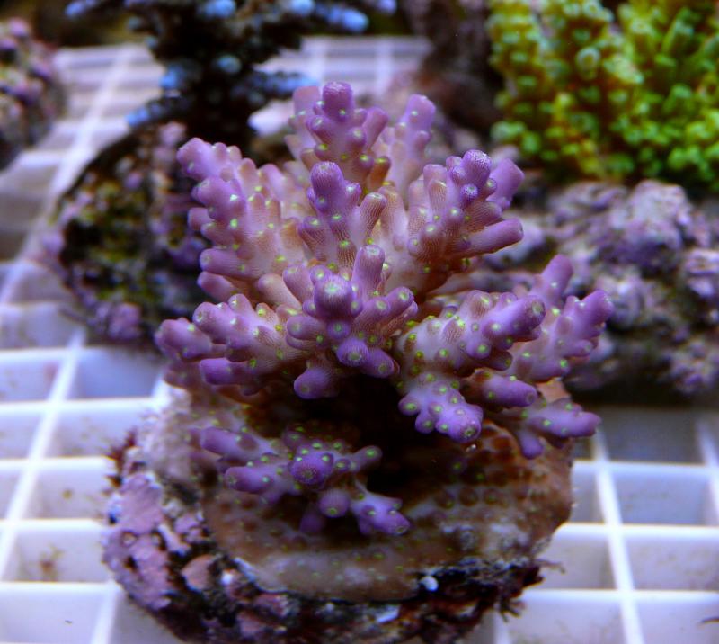 438210.jpg