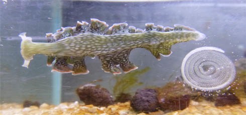 img02.jpg