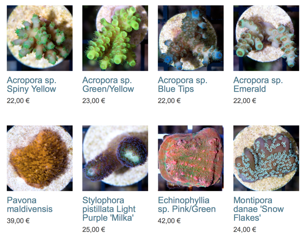 coral-biome-img01.png