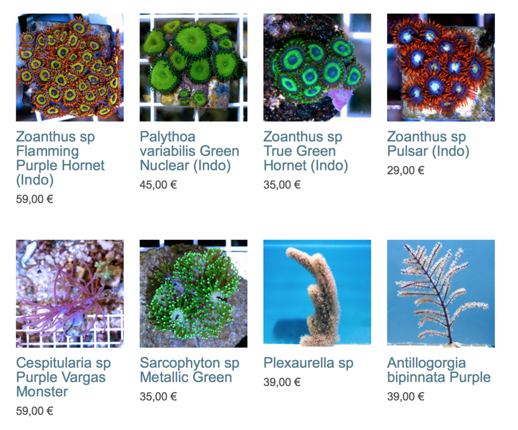 coralbiome-img01.png