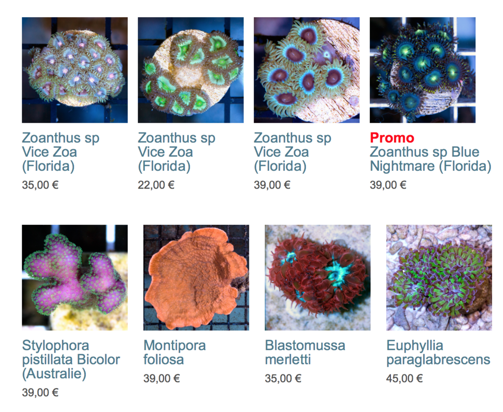 coralbiome-img03.png