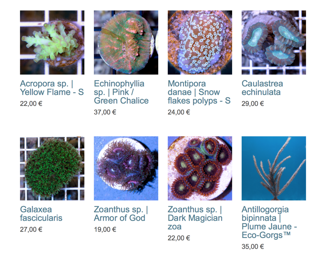 coral-biome-img01.png