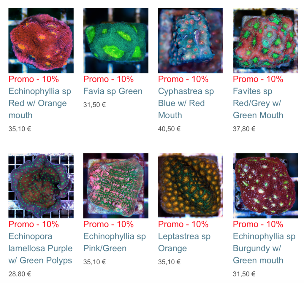 coral-biome-img01.png