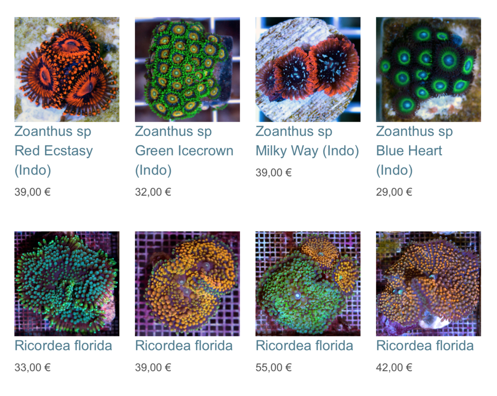 coral-biome-img02.png